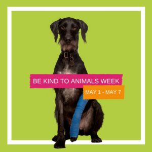 Be Kind to Animals Week